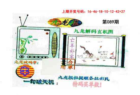 089期九龙报[图]